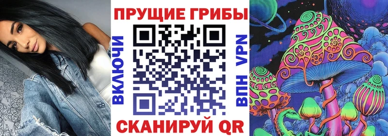 наркошоп  Соль-Илецк  Галлюциногенные грибы Psilocybine cubensis 