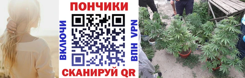 Каннабис конопля  наркота  Соль-Илецк 